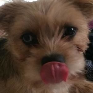 Meet your Posher, Rylie